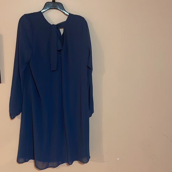 Blue size L - Picture 2 of 2